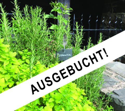 Kräuterbeet